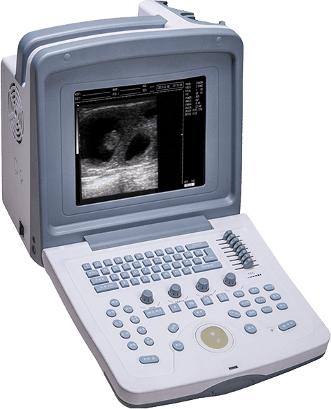 ultrassom portatil veterinario dm5v